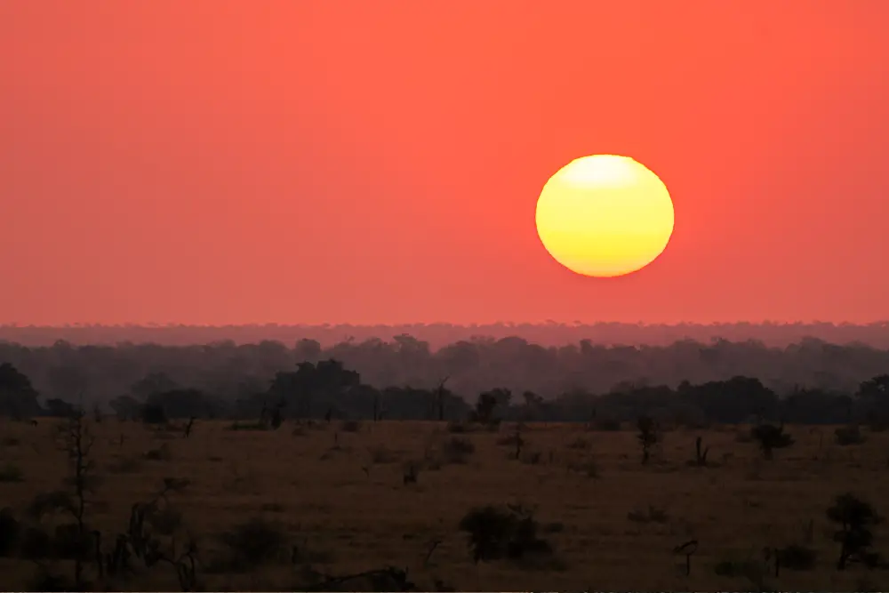 Bush Braai & Sundowner Drives