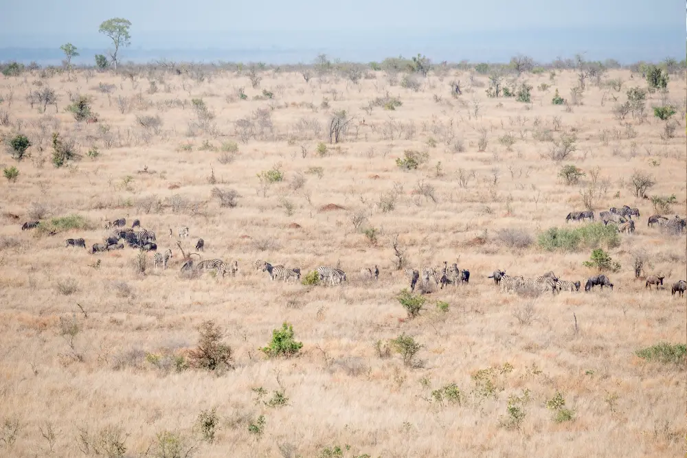 Wilderness Trails (4-Day)