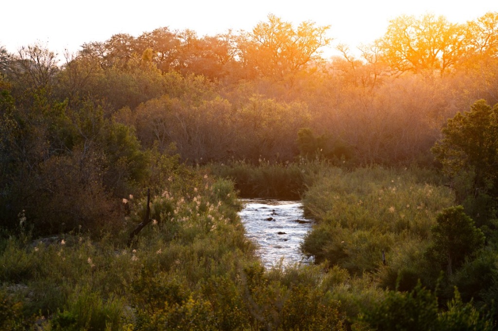 Meerkat Manor: Perfect, secure base in Komatipoort with outstanding hospitality